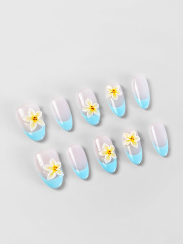 Frangipani