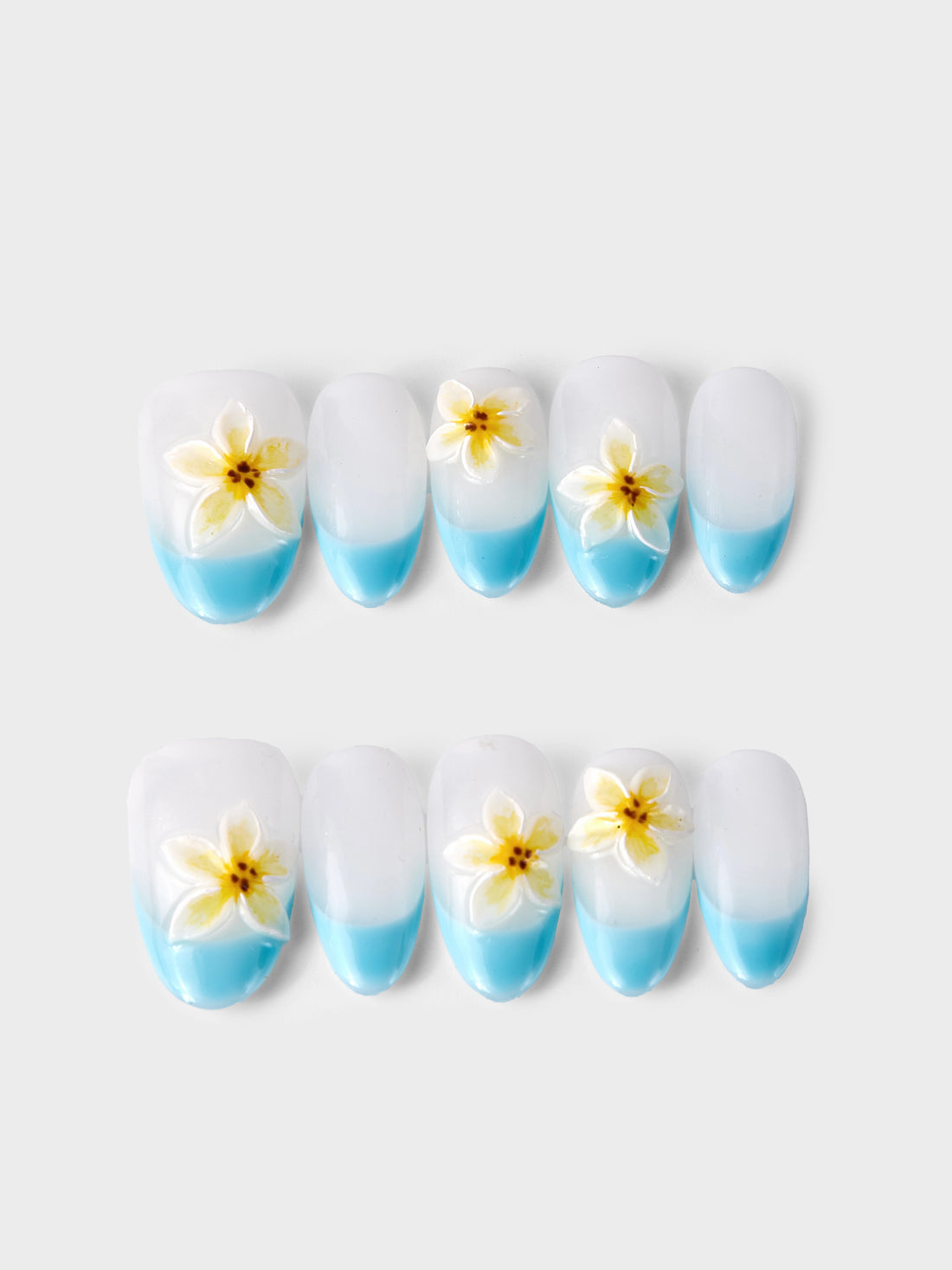 Frangipani